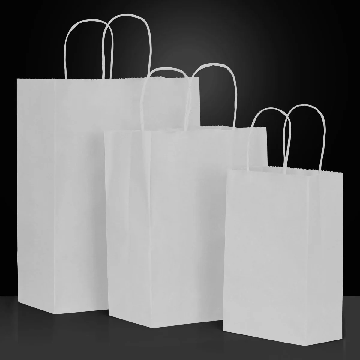 Paper Shopping Bag - 8 x 4.75 x 10.5 - Image 3
